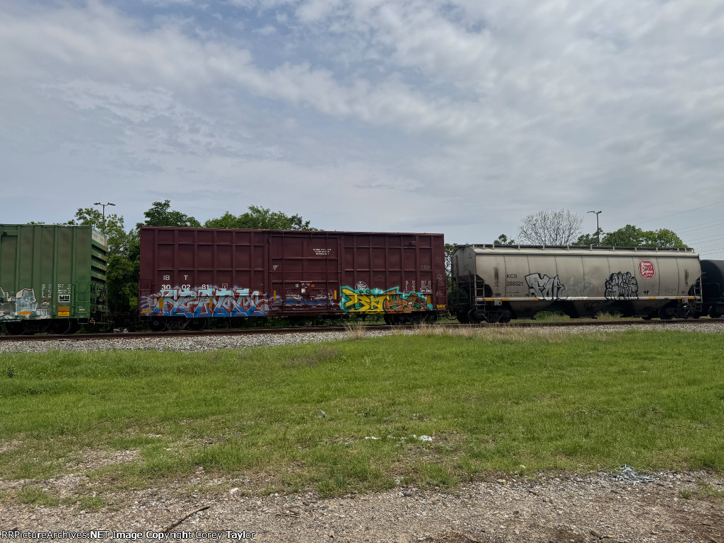 IBT 300281